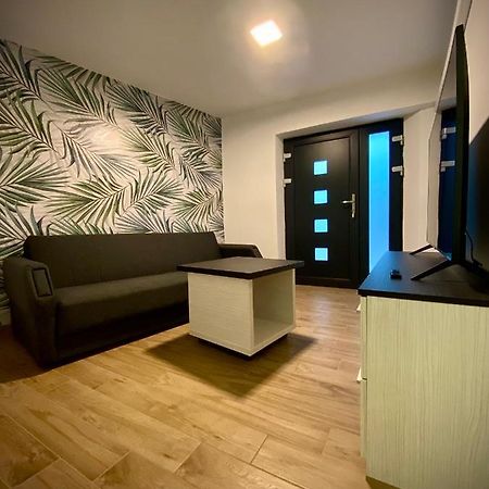 Apartma Sinitus イゾラ エクステリア 写真