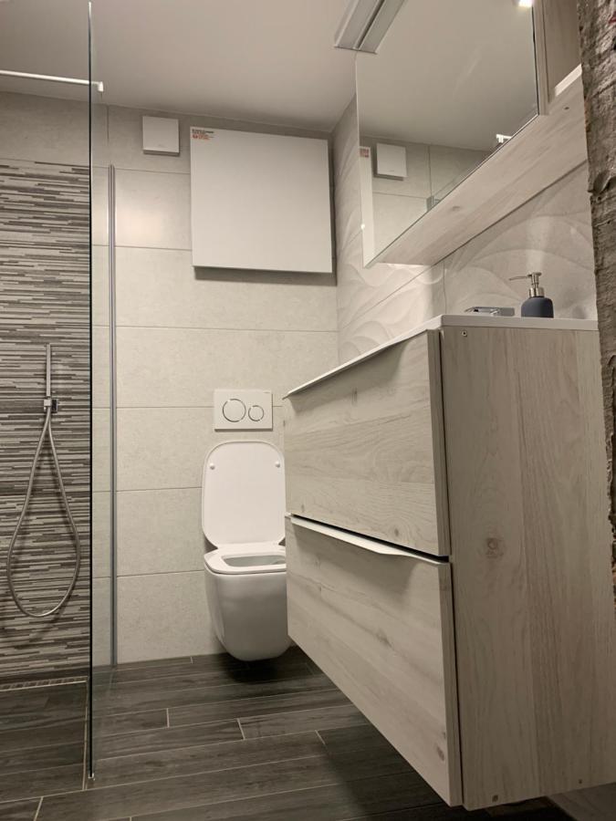Apartma Sinitus イゾラ エクステリア 写真